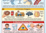 write expert medical SEO blog posts and health articles as an mbbs student